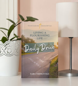 Book cover - Daily Drive - Living A Flourishing Life: A 12 Day Journey